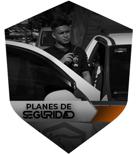 Planes de Seguridad